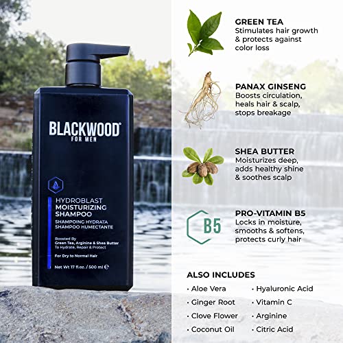 Blackwood 8 oz Leave In Conditioner for Hydrating, Detangling, and Nourishing Hair - Image 7