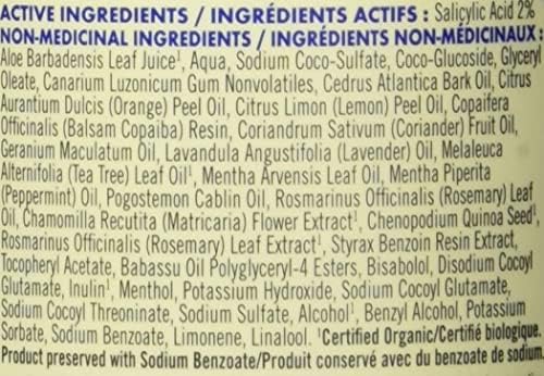 Homeopathic Dandruff Shampoo 12 oz Natural Scalp Care Formula - Image 3