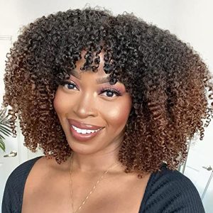Kinky Afro Human Hair Wig