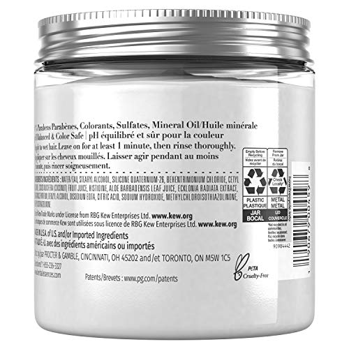 Moroccan Argan Oil Hair Masque - Image 2