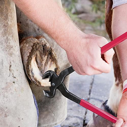 Durable Alpaca Nail Clippers for Efficient and Easy Grooming - Image 7