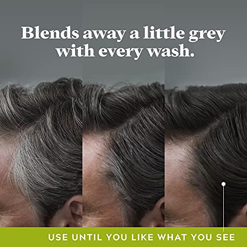 Men's 12oz Anti-Dandruff Shampoo for Dry Scalp Relief - Image 3