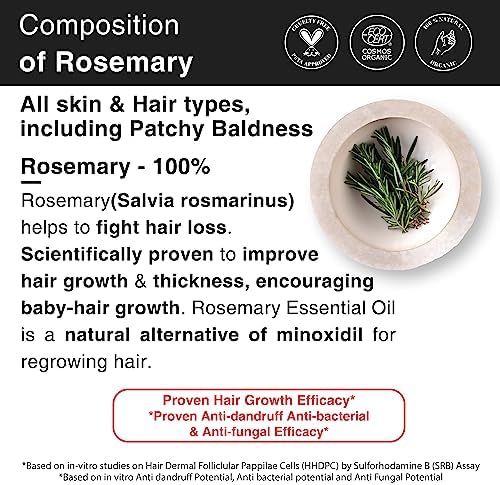 Argan Oil promotes hair growth. - Image 3