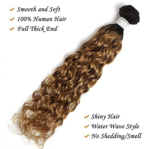 Blonde Ombre Hair Weave - Image 2