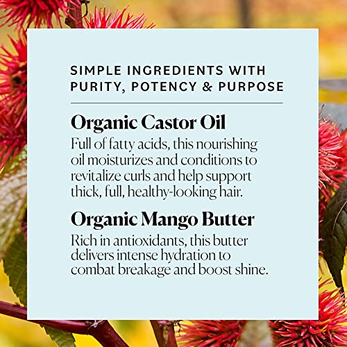 Organic 250ml Natural Hair Mask UK-Made Treatment for Healthy Hair Care - Image 4