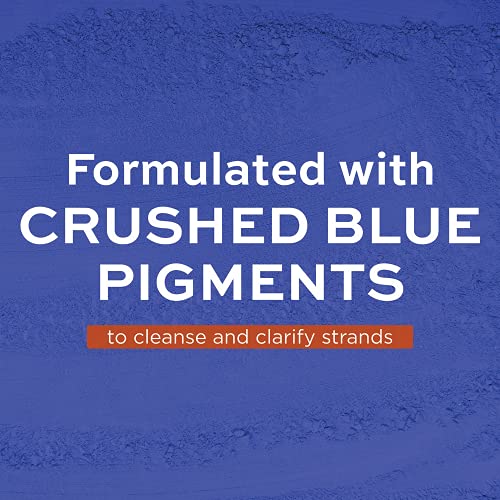 8 oz Blue Hair Conditioning Treatment for Ultimate Softness and Radiant Shine - Image 13