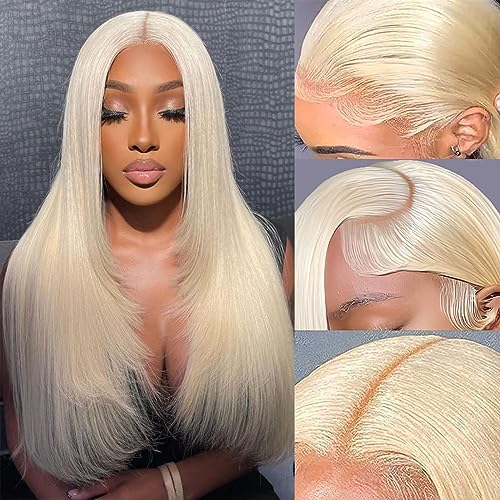 22 Inch Natural Straight 150% Density 613 Human Hair Wig for Women