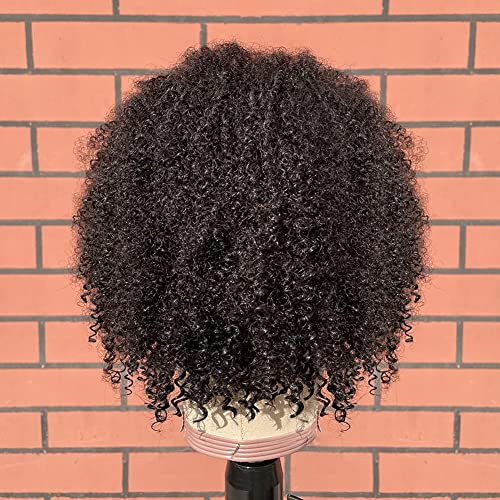 Kinky Curly Human Hair Wig - Image 5