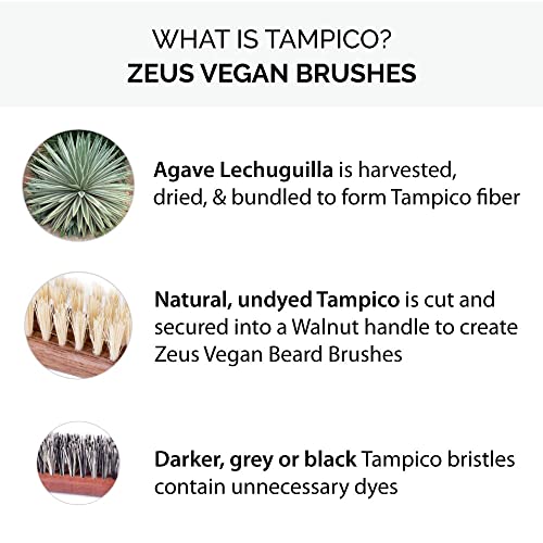 Tampico Hair Brush ? Natural Bristles for Gentle Styling - Image 6