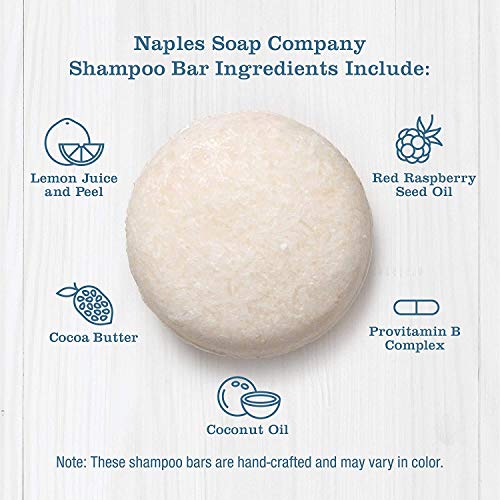 Gentle Paraben-Free Shampoo for All Hair Types, 12 oz Bottle - Image 5