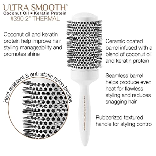 Cricket Fanatic Hair Brush for Collectors and Enthusiasts, 1 Count - Image 2