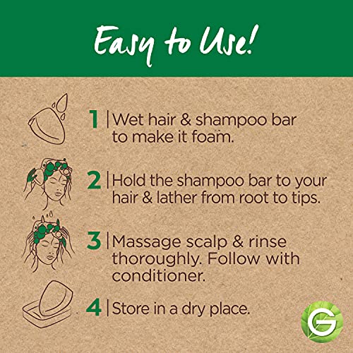 ?Argan Oil Shampoo for Hair Recovery? - Image 4