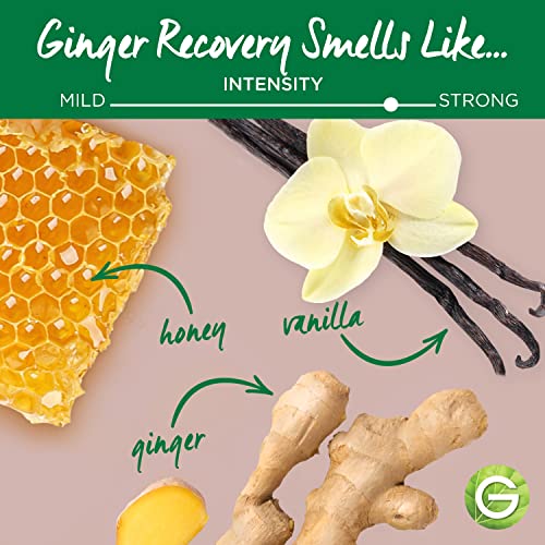 ?Argan Oil Shampoo for Hair Recovery? - Image 6