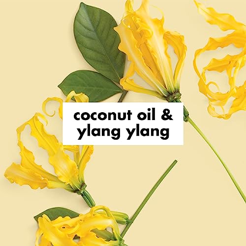 Argan oil and coconut shampoo for hair nourishment. - Image 5