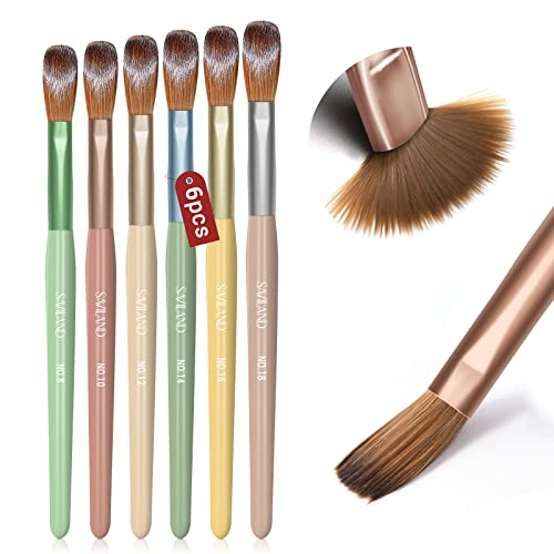 ?Acrylic Nails Brush Set?