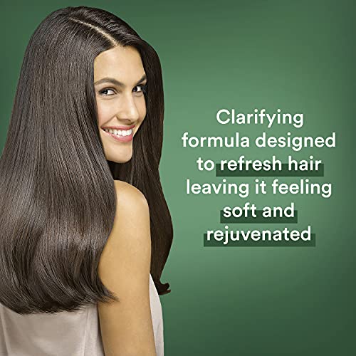 Aloe Vera 8 oz Natural Hair Conditioning Treatment Moisturizer for Healthy Hair - Image 9