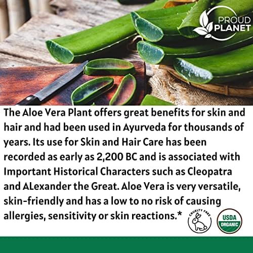 DIY Aloe Vera Hair Spray Recipe Kit for Healthy, Shiny Hair - 8oz Bottle - Image 2