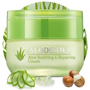 Aloe Vesta 2-in-1 Body Wash & Shampoo