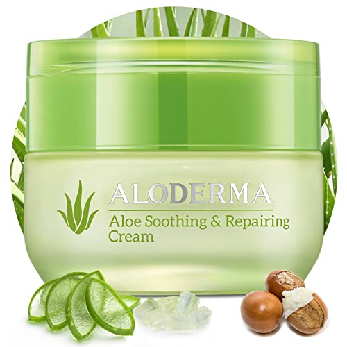 Aloe Vesta 2-in-1 Body Wash & Shampoo