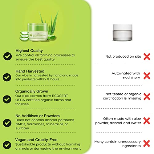 Aloe Vesta 2-in-1 Body Wash & Shampoo - Image 5