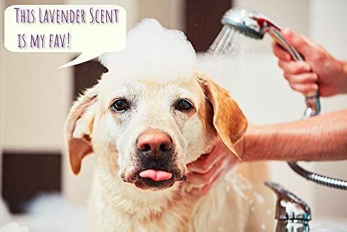 Argan Oil Conditioning Shampoo by Rocco And Roxie - Image 9