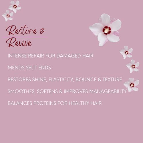 8 oz Deep Conditioning Argan Oil Hair Masque for Nourishing Dry Hair Treatment - Image 3