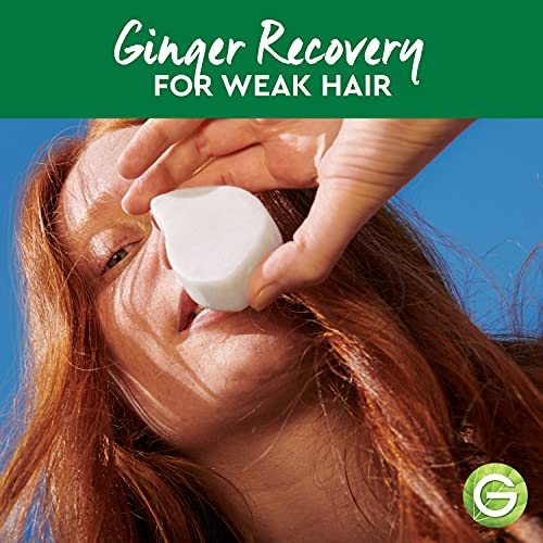 ?Argan Oil Shampoo for Hair Recovery? - Image 7