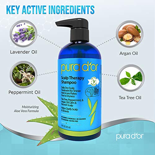 16 oz Argan Oil Shampoo for Vibrant Hair with Blue Tint - Image 2