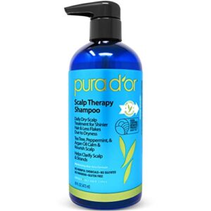 16 oz Argan Oil Shampoo for Vibrant Hair with Blue Tint