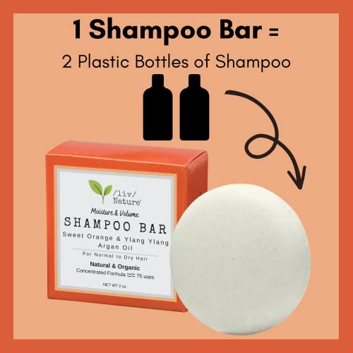 Nourishing Argan Oil Shampoo with Natural Ingredients for Hydrating Hair 12 oz - Image 3