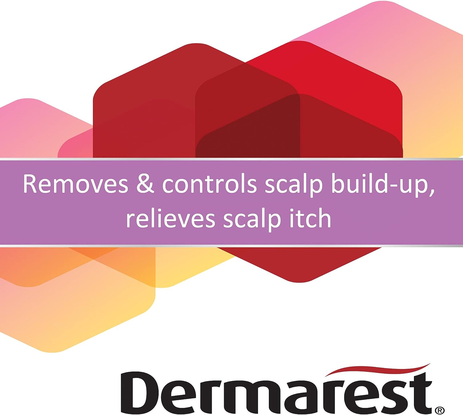 Arnica Plus Dandruff Shampoo - Image 4