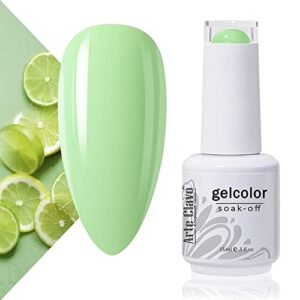 Arte Clavo 15ml Gel Nail Polish Kit for Vibrant, Long-Lasting Color