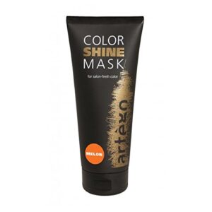 Artego Nourishing Blueberry Hair Mask 250ml for Revitalizing Treatment