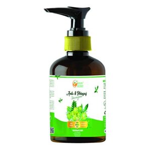 Ayurvedic Anti Dandruff Shampoo 250ml