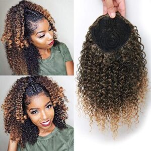 ?Black Human Hair Ponytails?