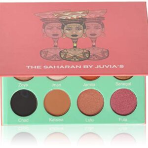Black & Red Eyeshadow Palette