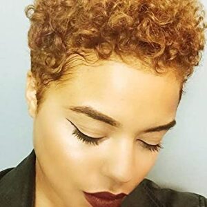 Blonde Afro Wig ? Human Hair