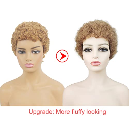 Blonde Afro Wig ? Human Hair - Image 3