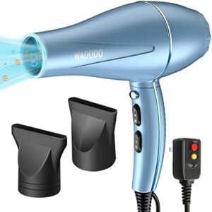 Blue Bird Ionic Hair Dryer for Fast, Frizz-Free Styling
