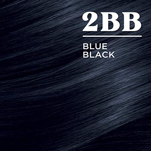 Naturals Blue Black Hair Dye with Argan Oil 4 oz Vibrant Color - Image 3