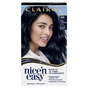 Naturals Blue Black Hair Dye with Argan Oil 4 oz Vibrant Color