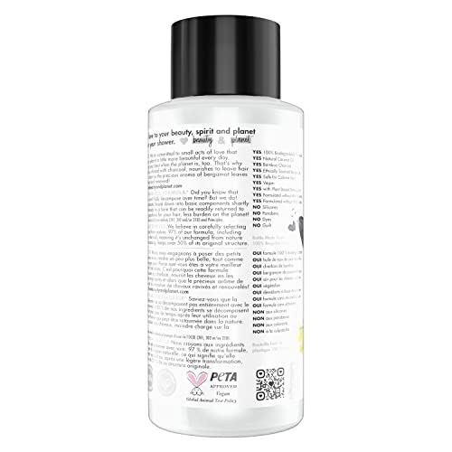 Blue Duchess Bergamot Nourishing Smoothing Hair Conditioner 12 oz - Image 2