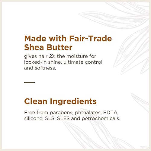 Blue Paraben-Free Shampoo - Image 4