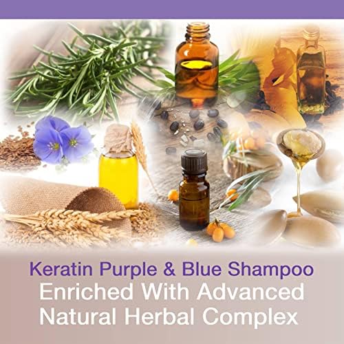 Blue Shimmer Argan Oil Shampoo 12 oz for Soft and Nourished Hair - Image 2