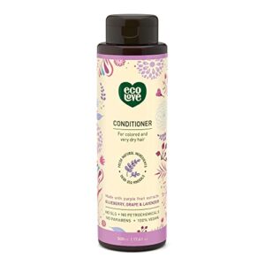 Nourishing Blueberry Infused Hair Conditioner 12 oz for Healthy Strands