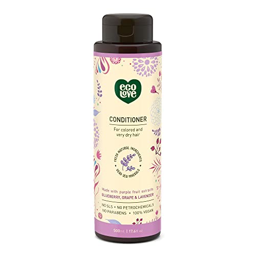 Nourishing Blueberry Infused Hair Conditioner 12 oz for Healthy Strands