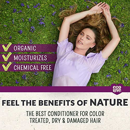 Nourishing Blueberry Infused Hair Conditioner 12 oz for Healthy Strands - Image 4