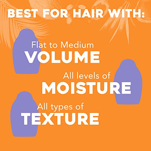 Body Cupid Biotin Argan Oil Shampoo 300ml for Healthy Hair Growth - Image 3
