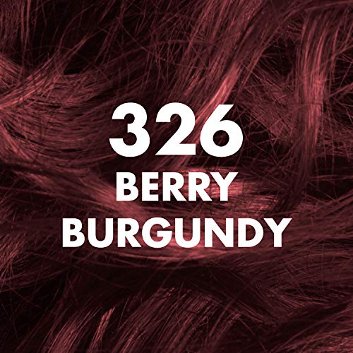 Burgundy Hair Color 4 oz with Argan Oil for Vibrant Shine and Nourishment - Image 6