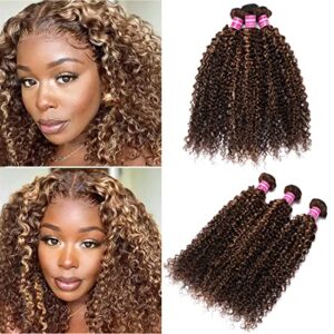 Curly Human Hair Sew In